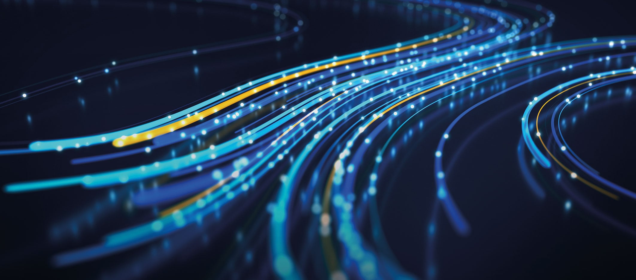 Fifth-Estate-in-action-banner