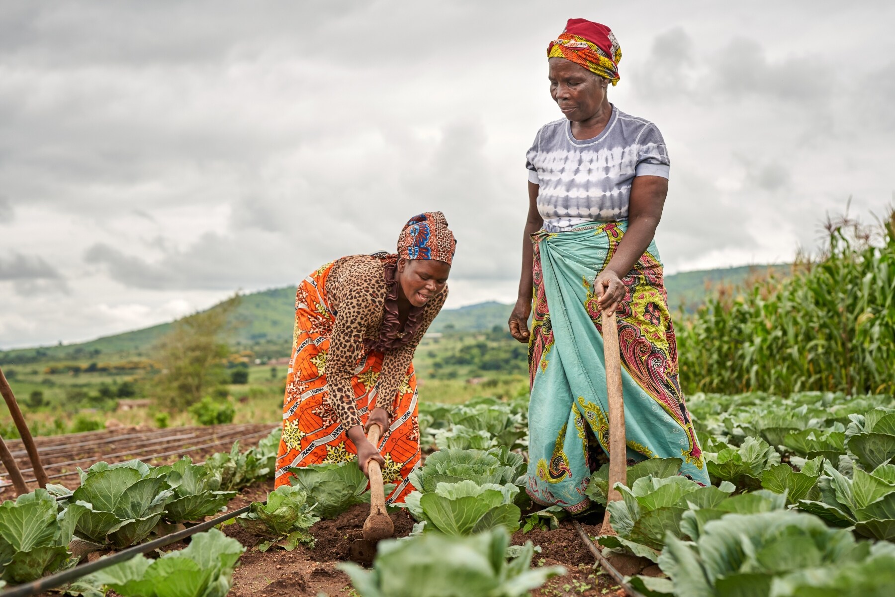 Malawian farmers