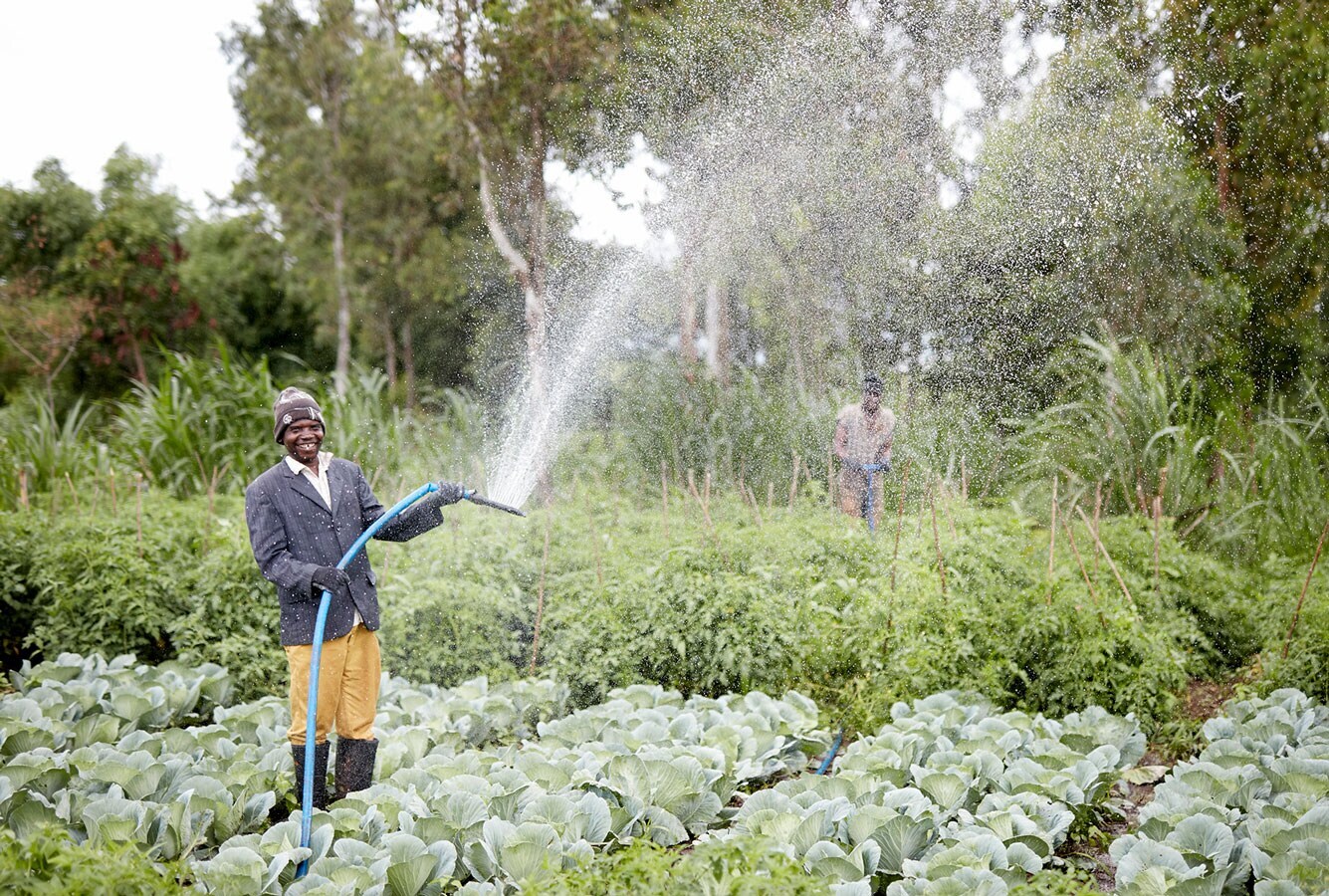 Mozambique-water-crops