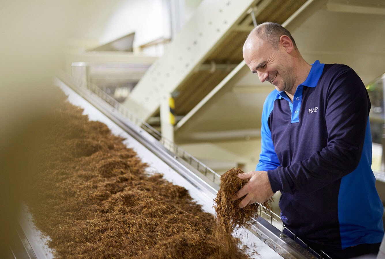 Cube-Neuchatel-sorting-tobacco
