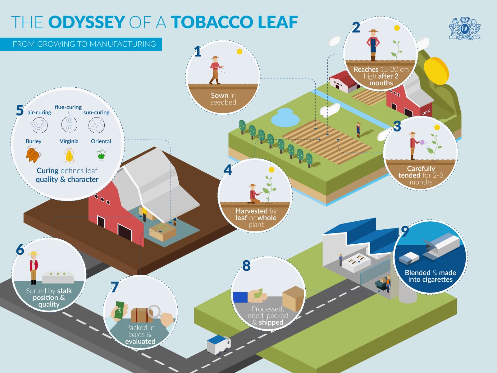 odyssey-of-the-leaf-infographic