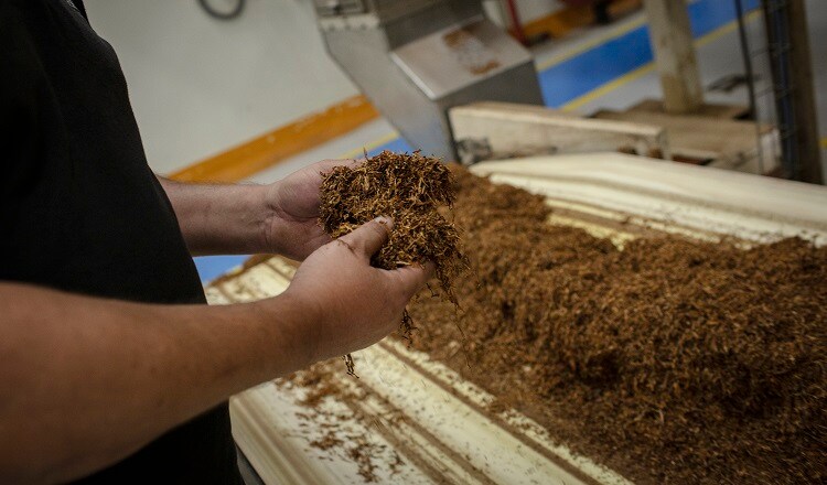 Prevent illicit trade Argentina