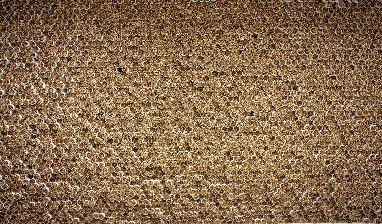 Prevent illicit trade Mexico