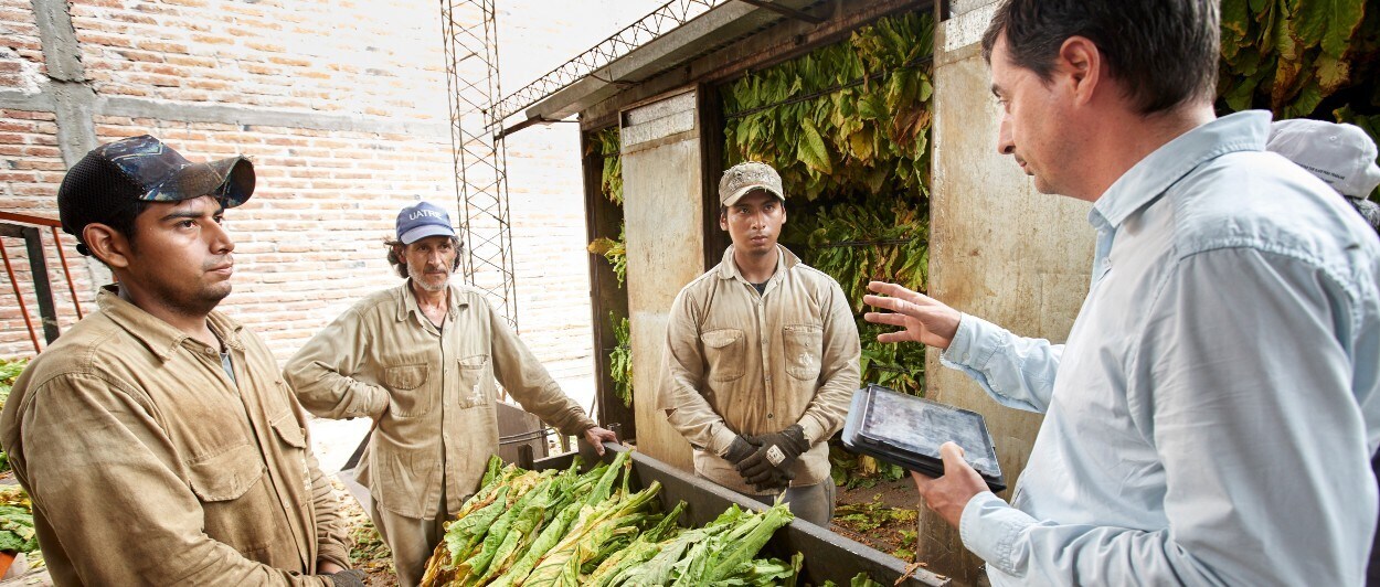 field-technican-tobacco-farm