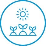 graphic-icon-sun-plant
