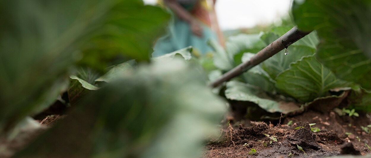 img_pmi_sustainability_water_stewardship_slide2