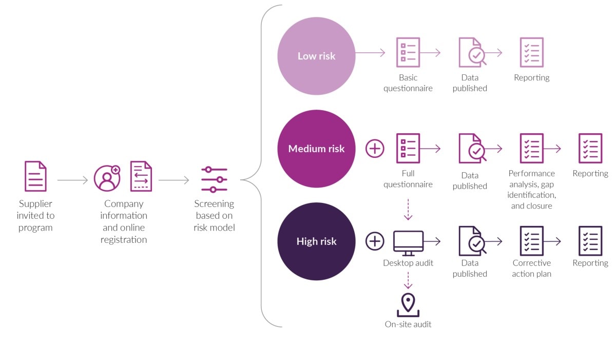 supplier process inforgraphic