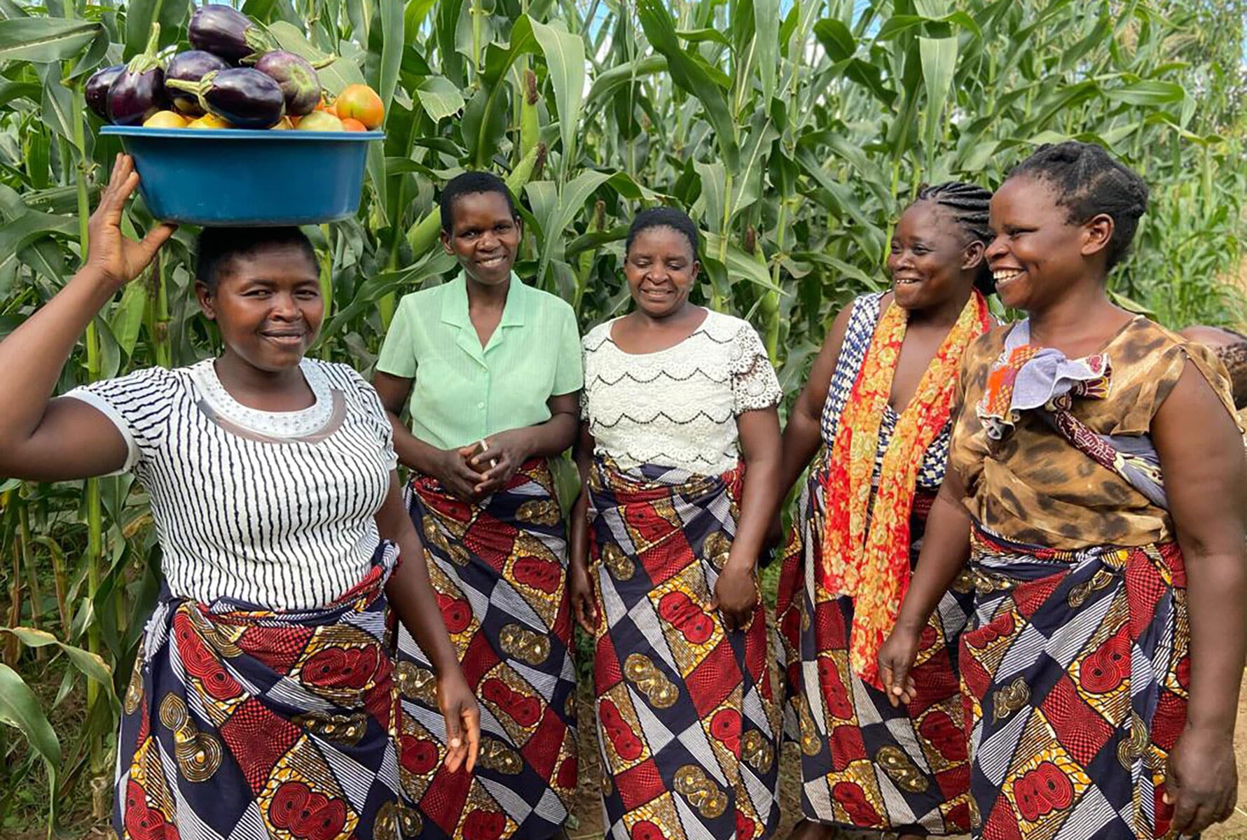 6-malawi_hero_1780x1200-crop