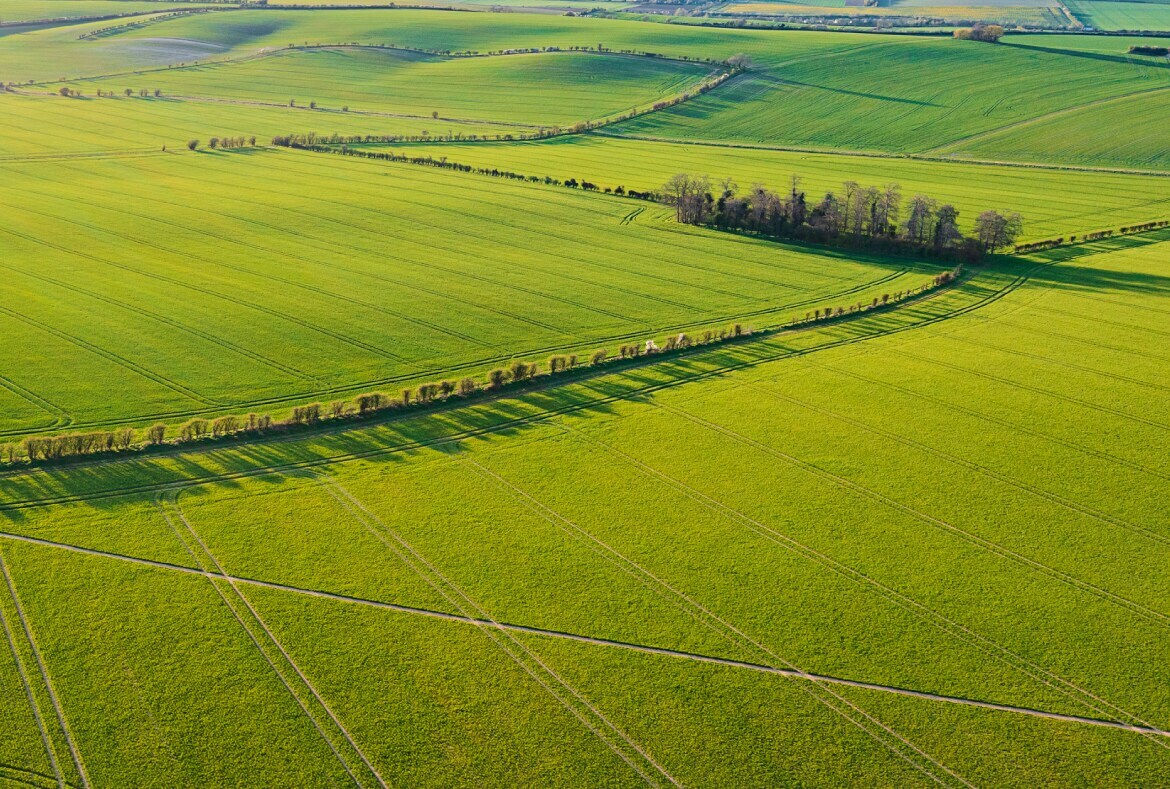 lower middle income countries field landscape