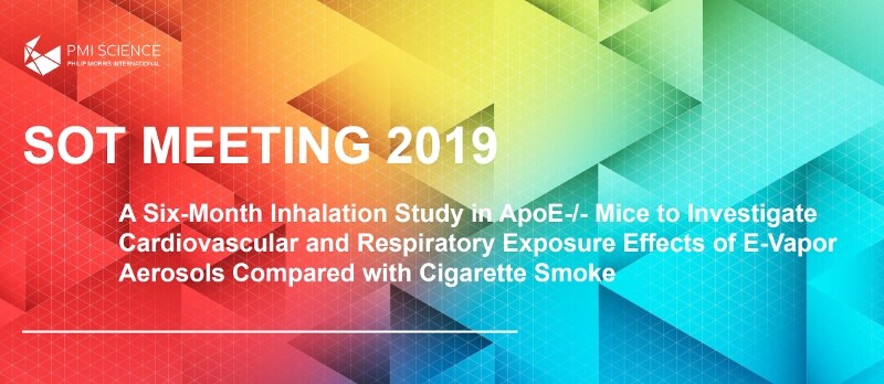 sot-meeting-2019-banner