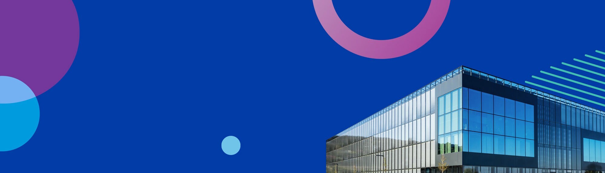 PMI Corporate Newsletter Banner blue