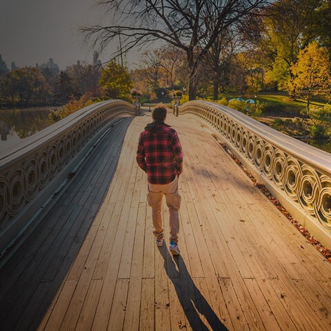 Person walking across a bridge in a park.