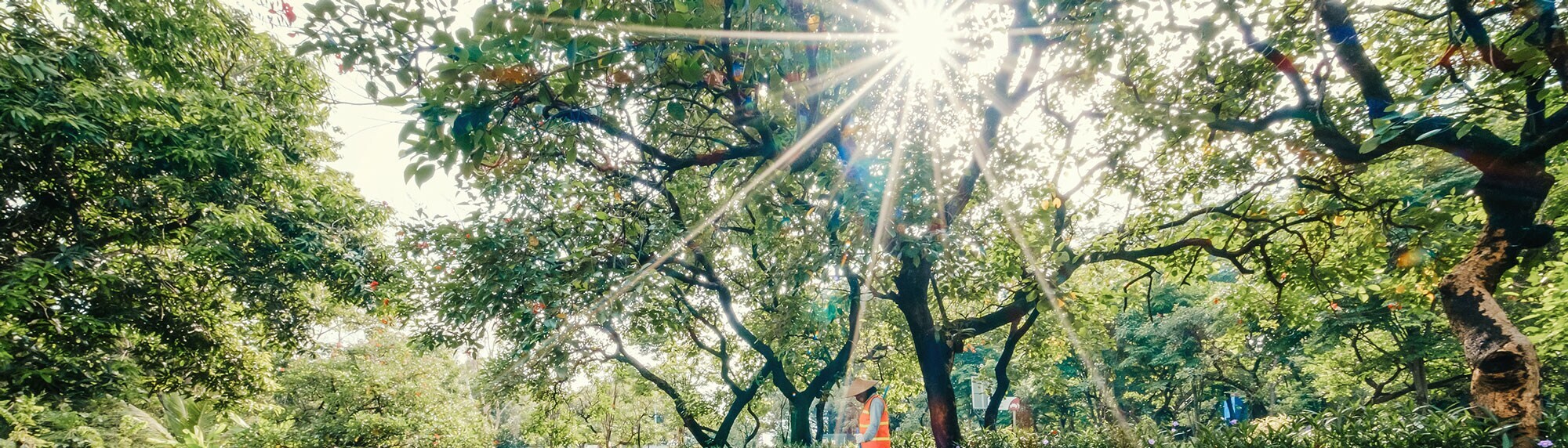 Sukorejo Plant in Indonesia BANNER