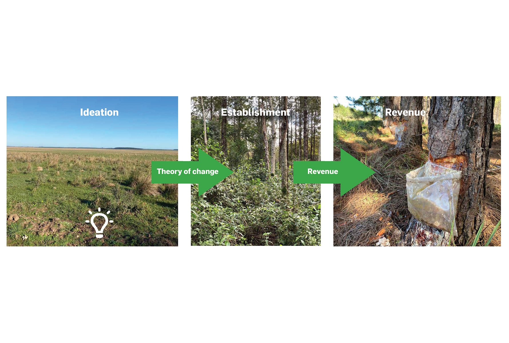 Global Goals Yearbook - Infographic 4 - Hero