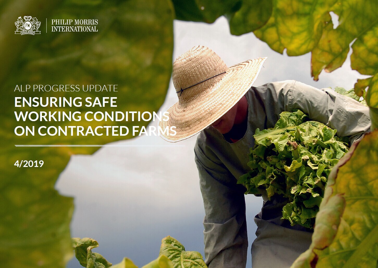 alp-progress-update-4-19