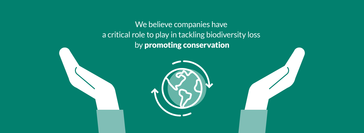 Carousel-4_1200x440_v1 Carousel-4_1200x440_v1