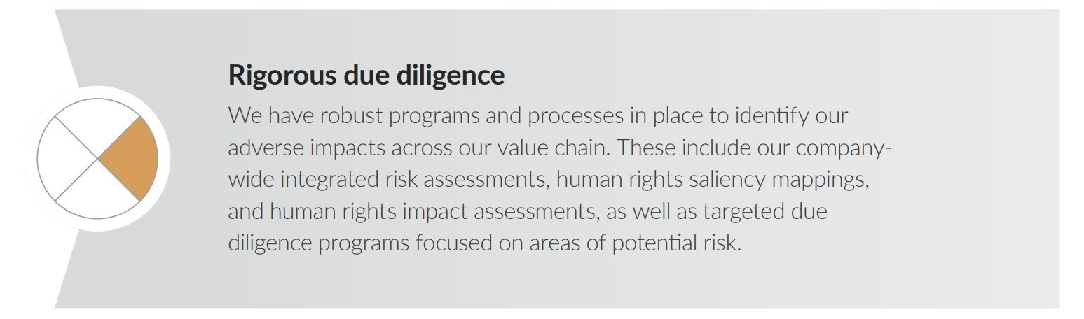 rigorous due diligence rigorous due diligence