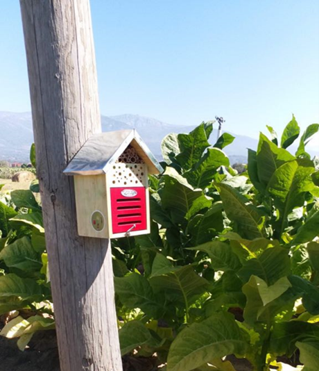 hotel for insects