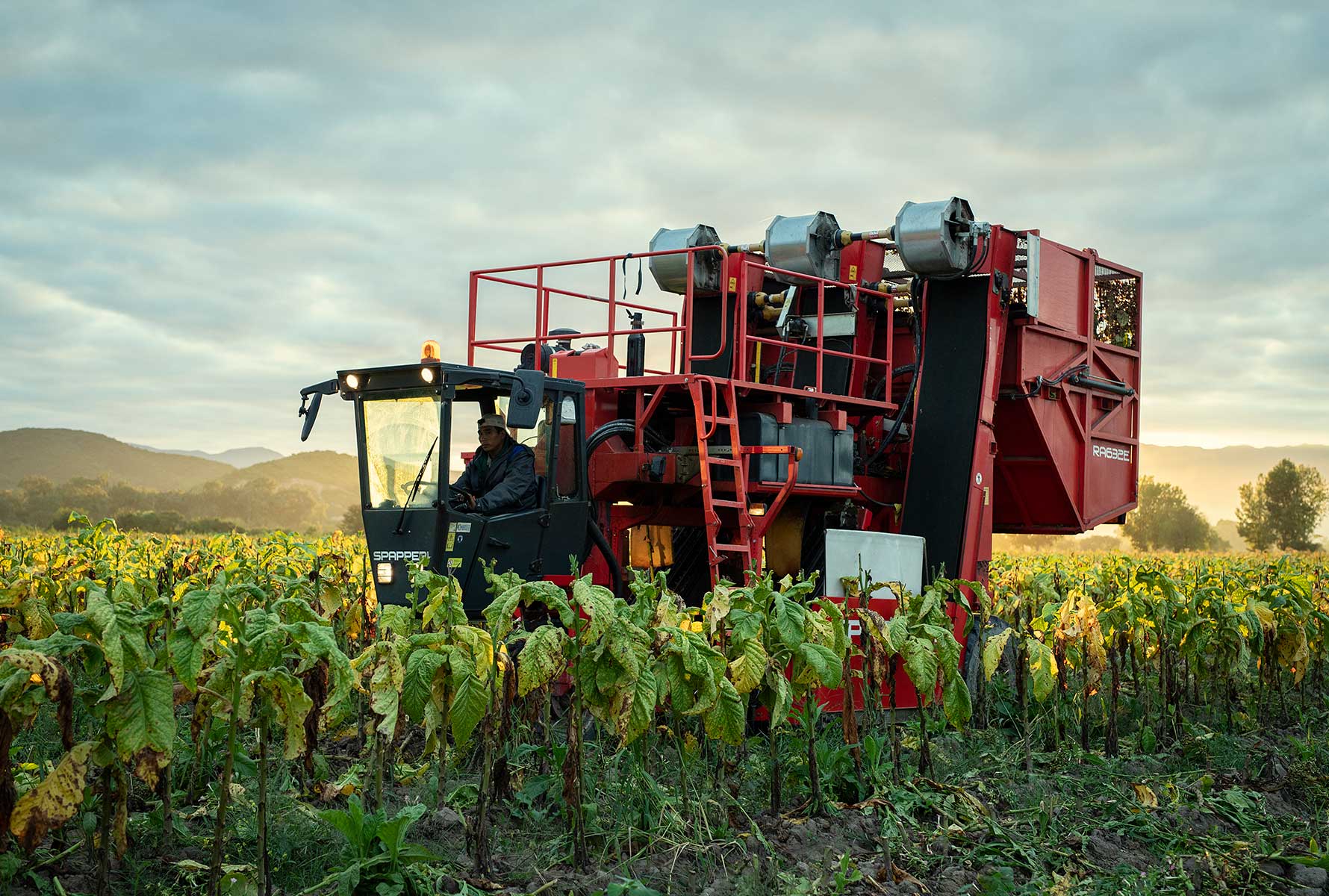 climate-protection-progress-salta