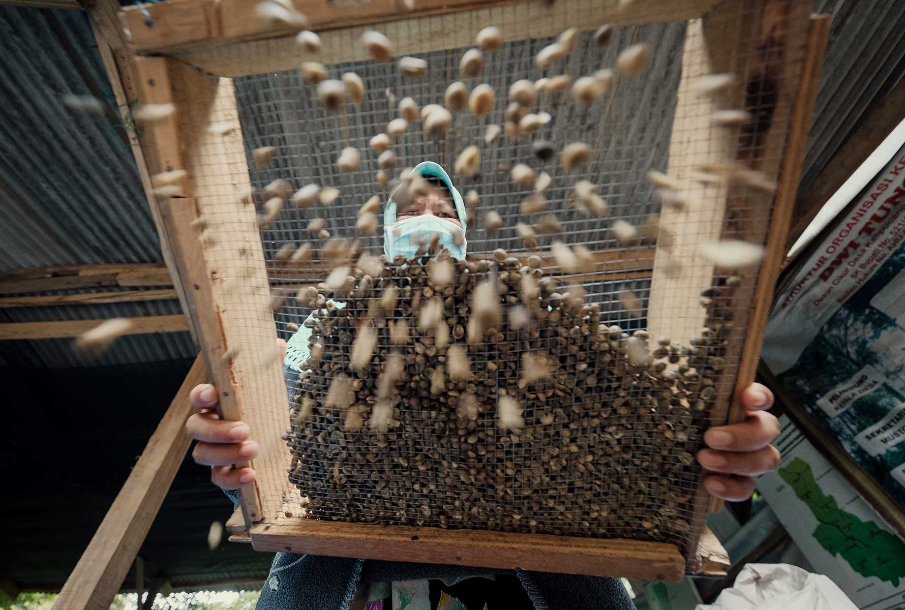biodiversity-main-sieve