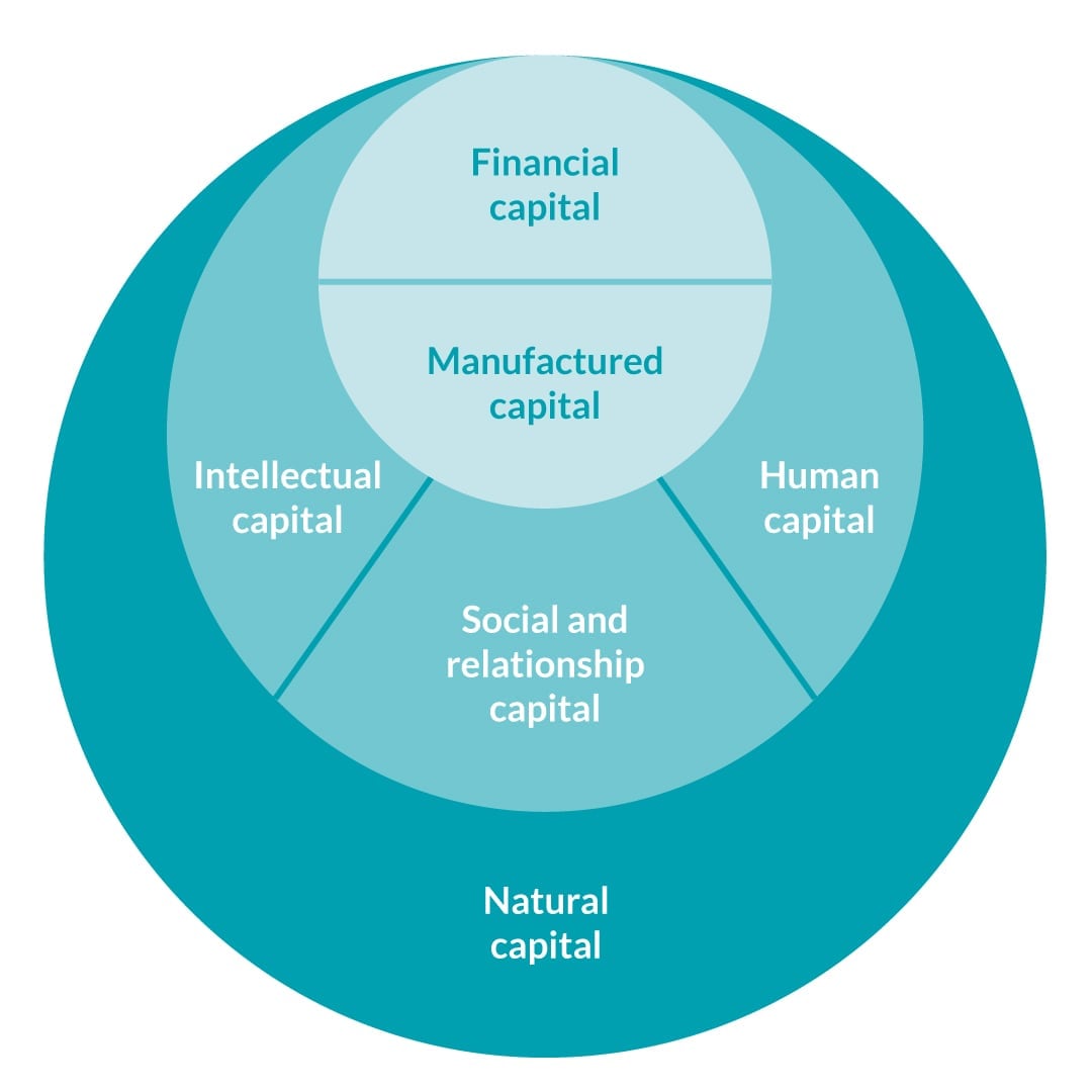 circle infographic sustainability