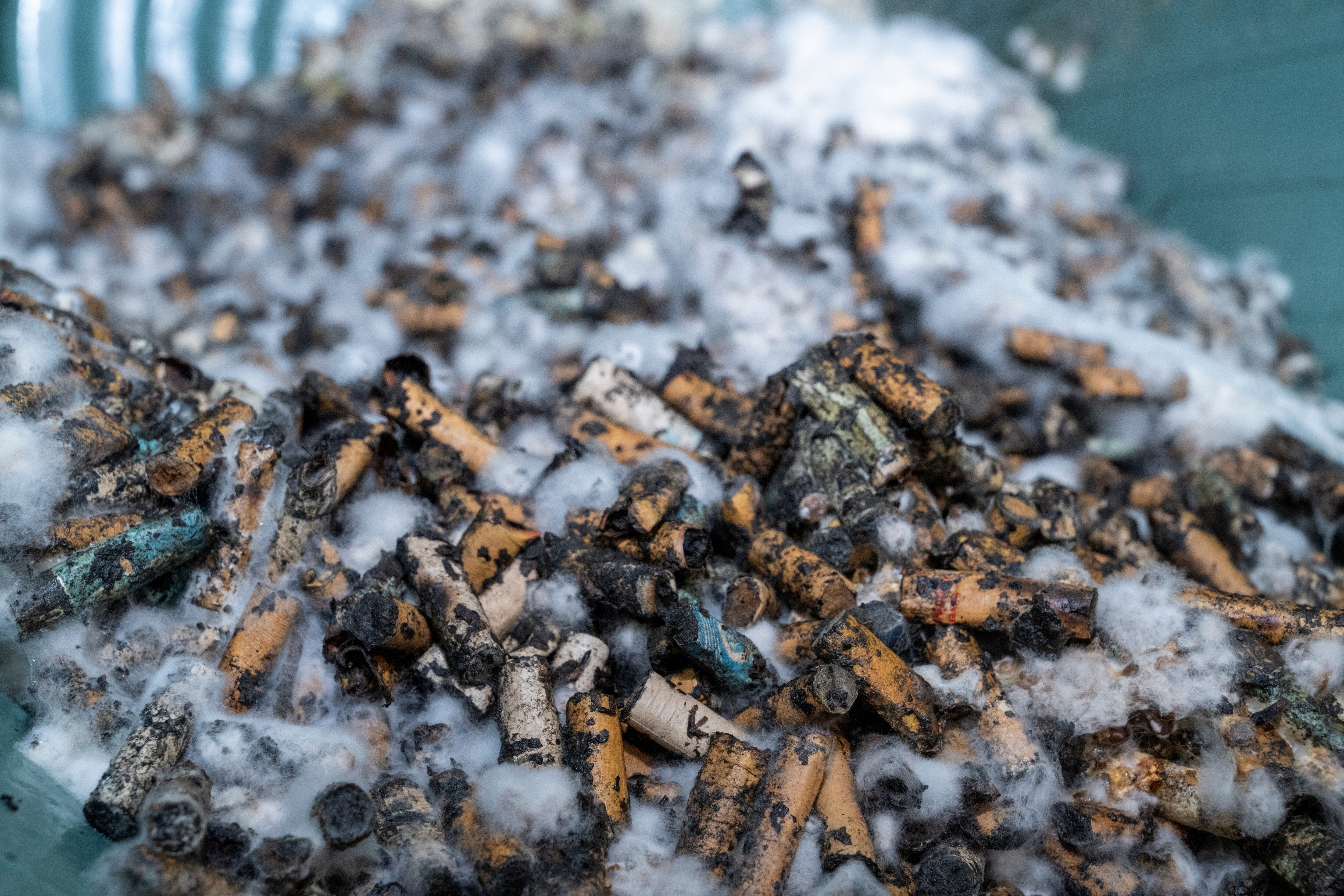 PMM_EcoFilter_2022_032