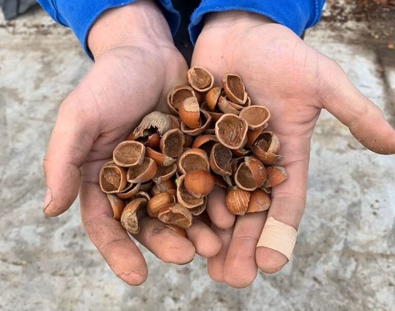 friends-of-the-earth-crop1