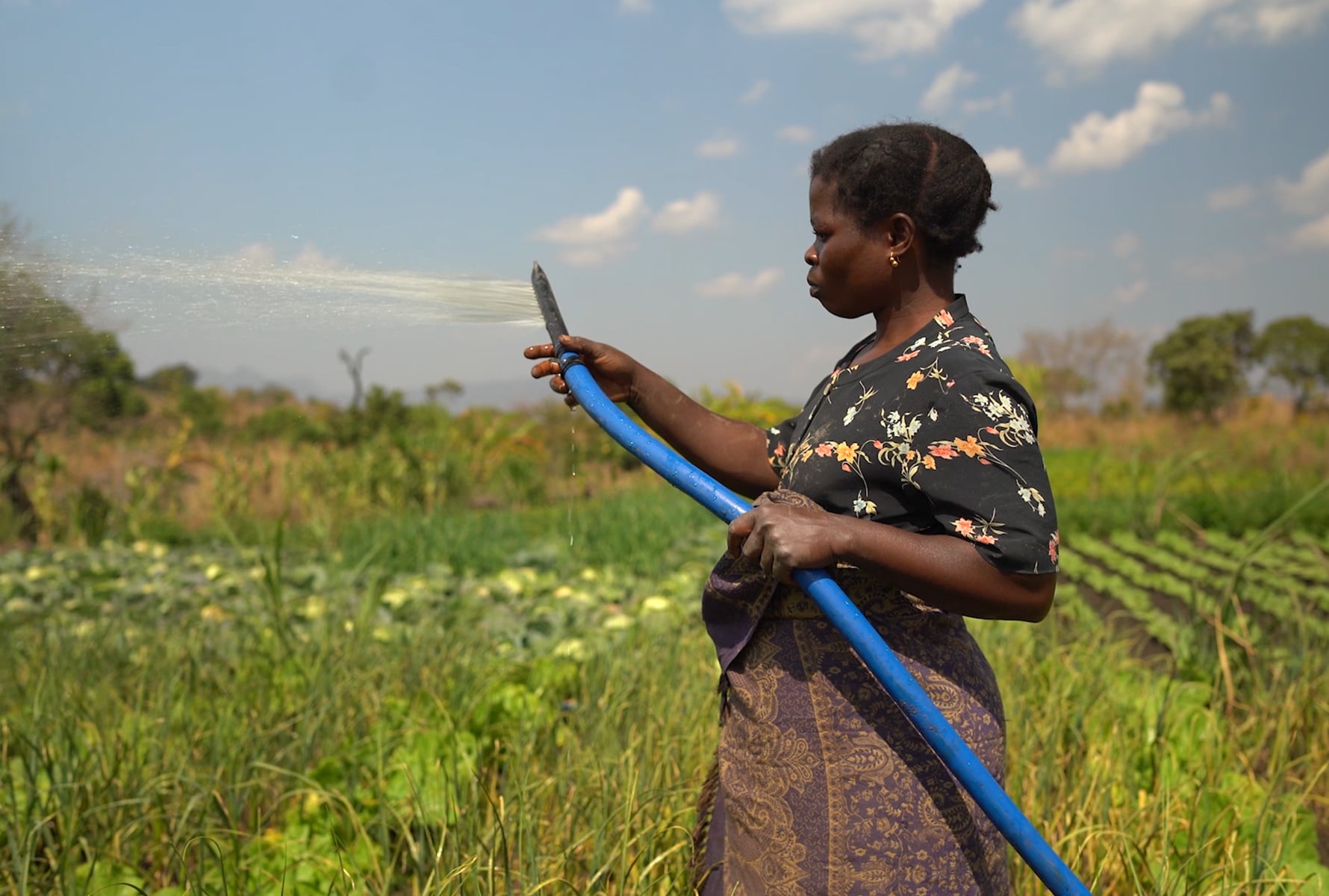 Treadle pumps in Mozambique