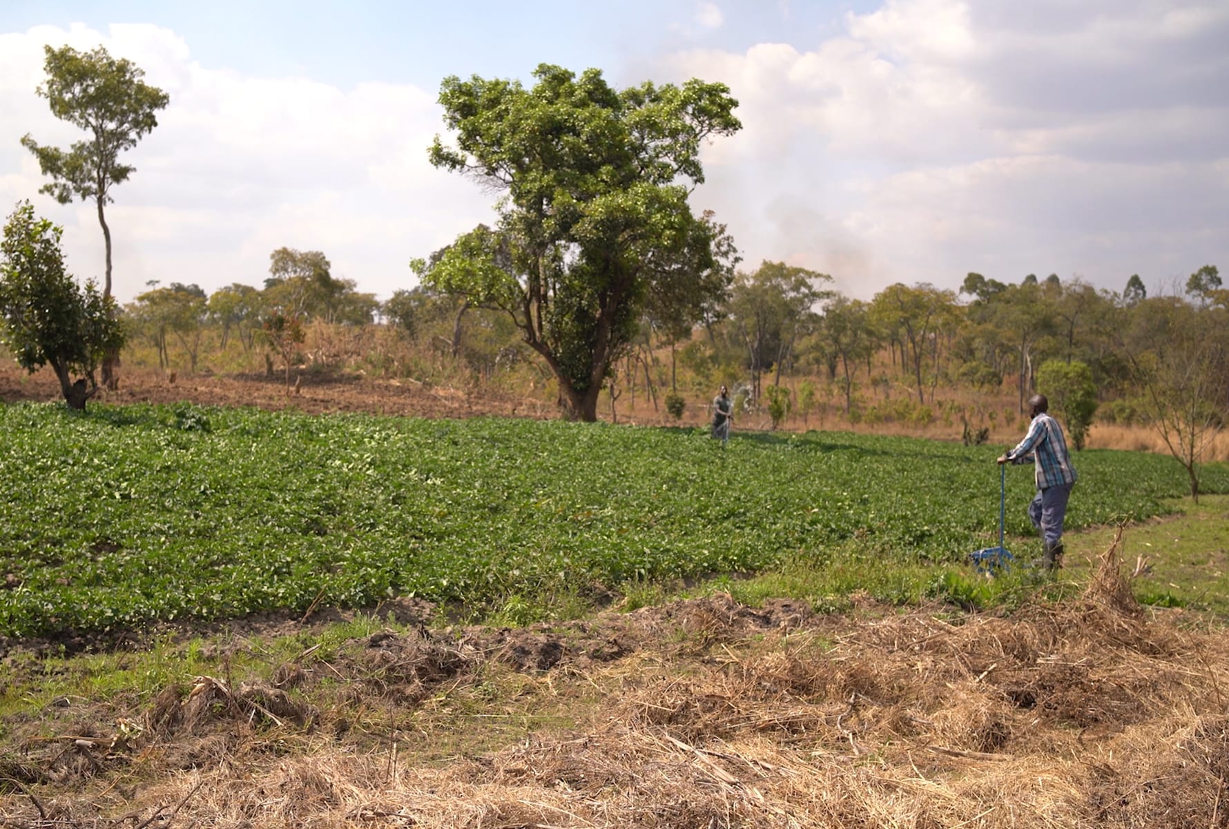 Treadle Pumps in Mozambique