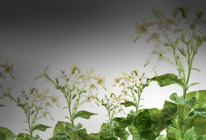 integrated report 2022 cover dark gradient