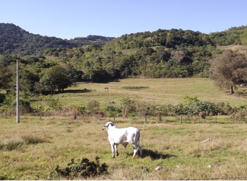 Pre-project evidence from Spring 2018