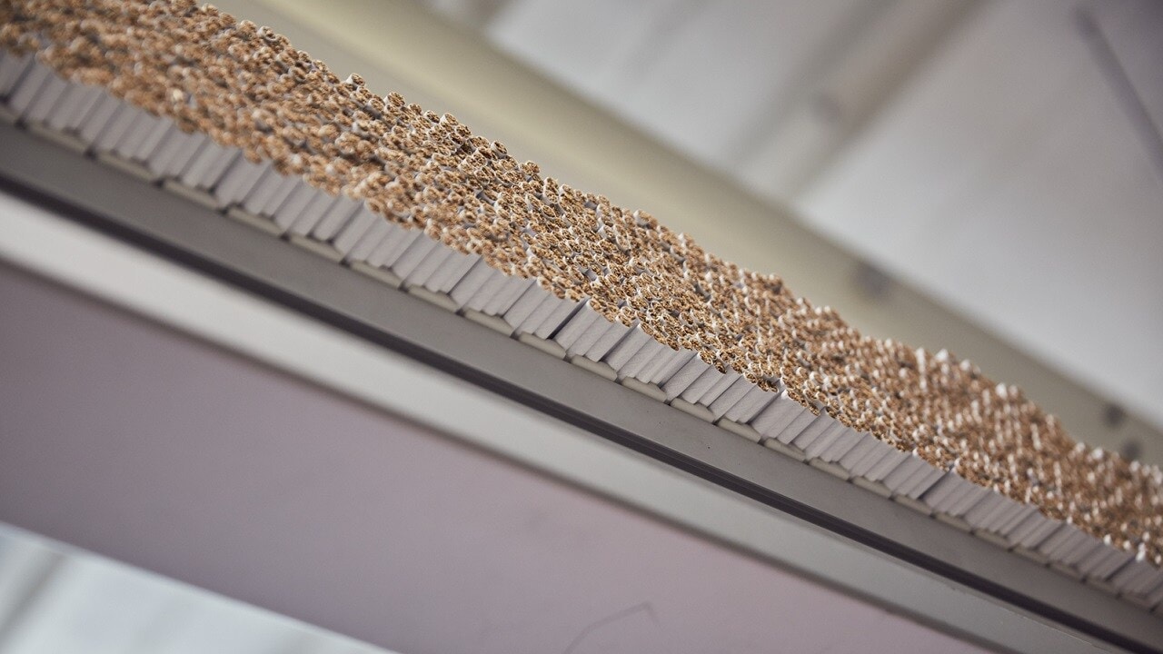 organized crime illicit profits landscape