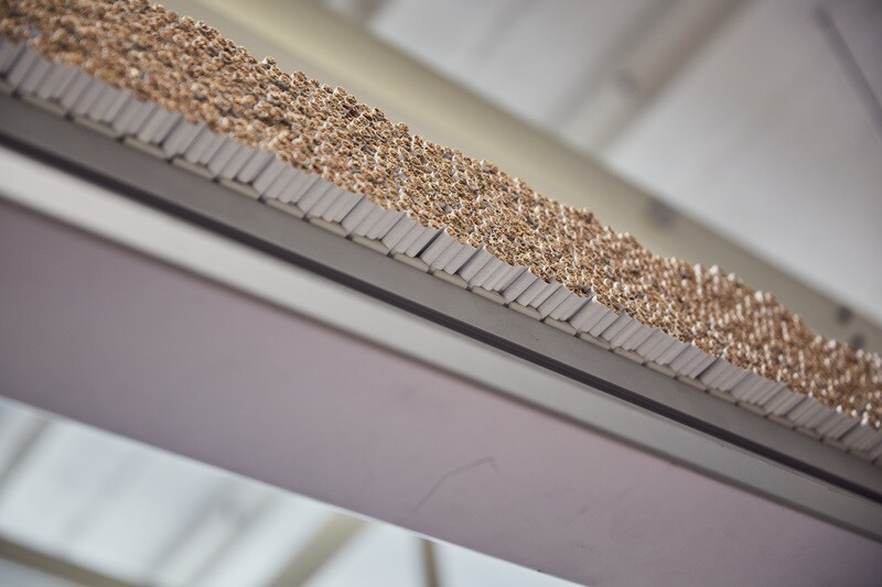 organized crime illicit profits thumbnail