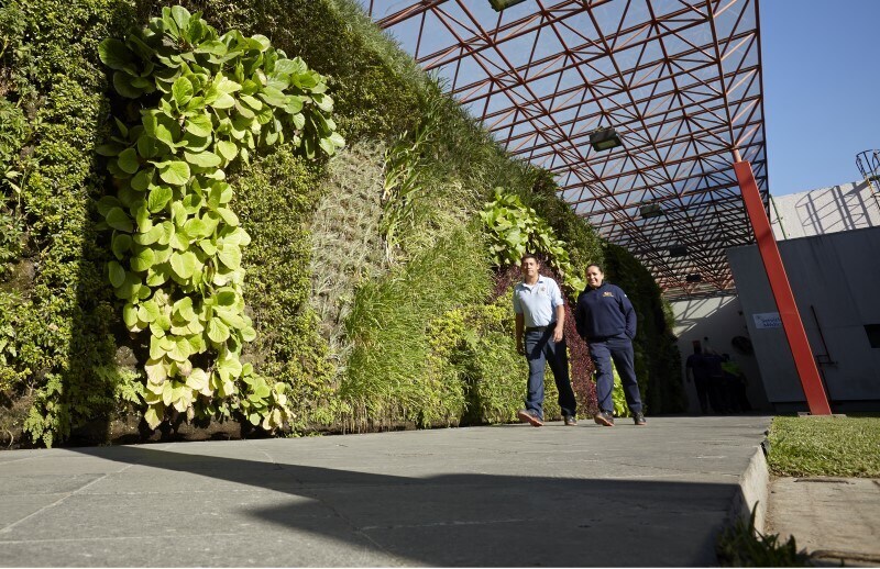 Manufacturing facility Mexico PMI