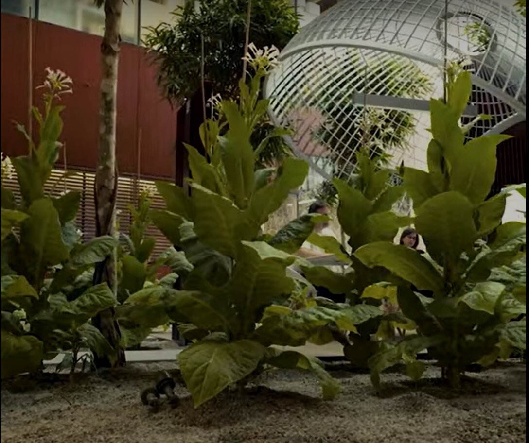 how are we sustainable