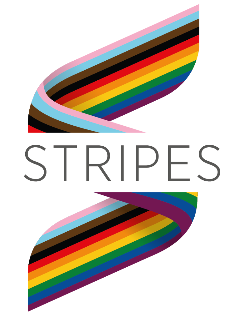 PMI STRIPES logo 2021