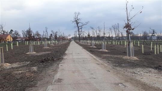 4. životní prostředí