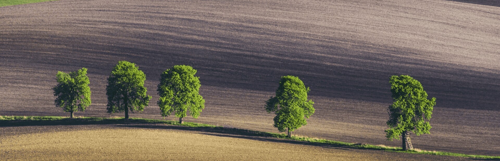 not-an-ashtray-homepage-desktop
