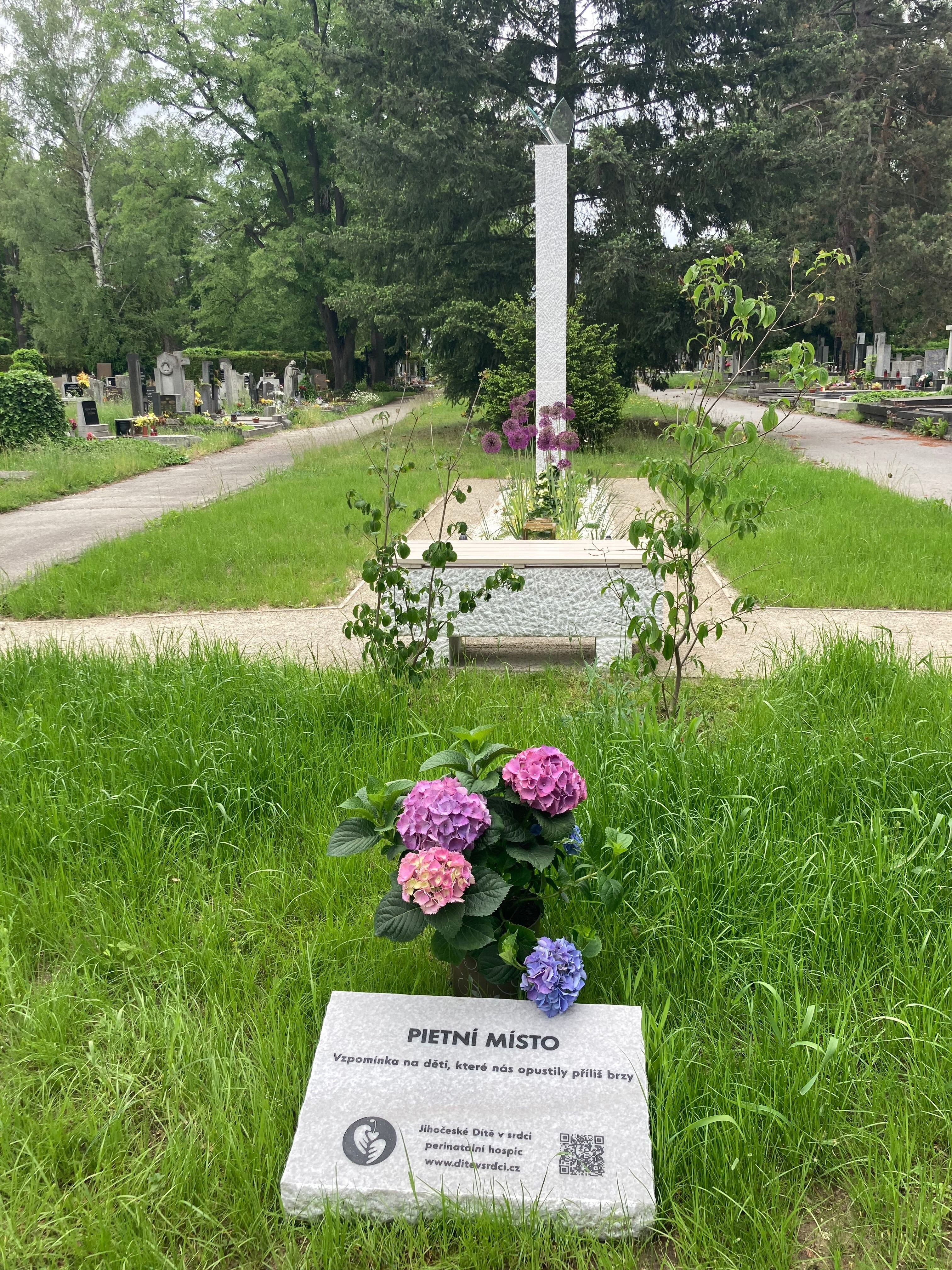 JIHOCESKE DITE V SDRCI 3