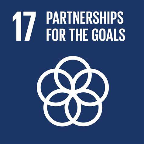 SDG17