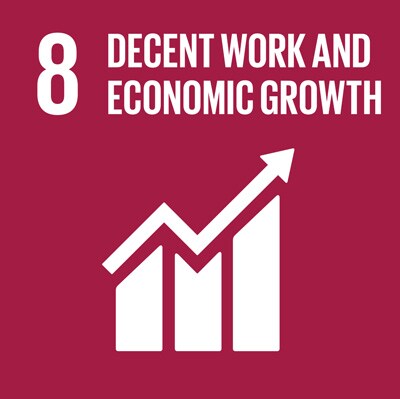 SDG8