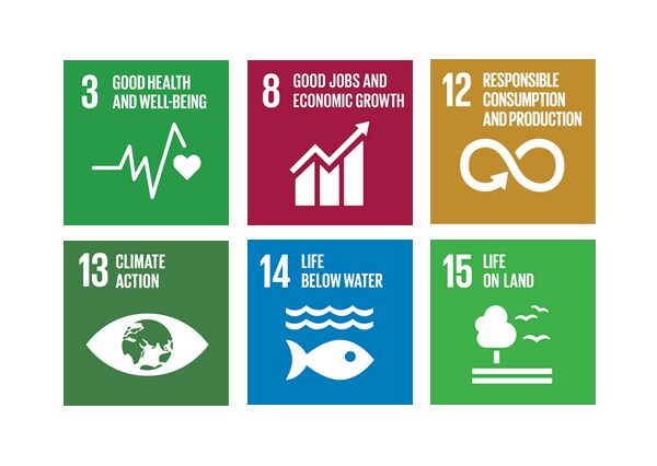 SDG-Sustainability