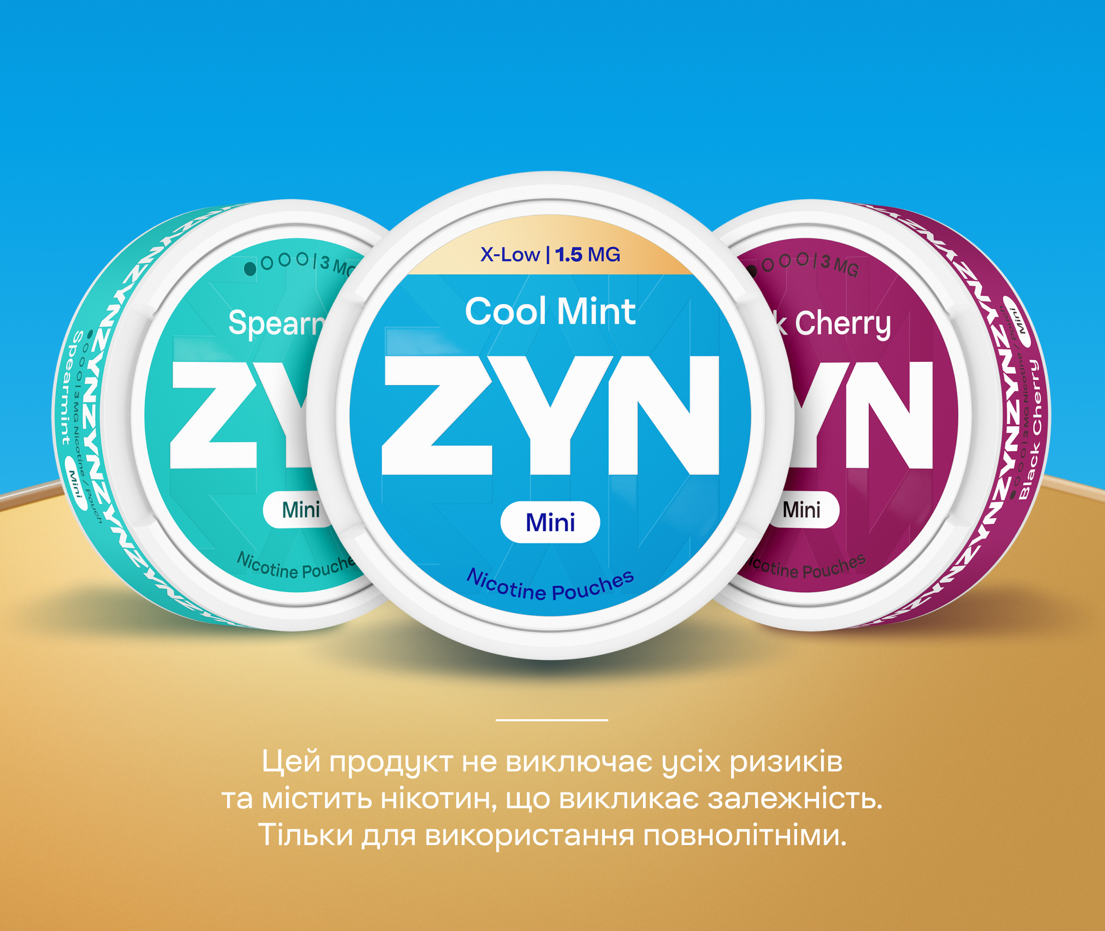 pmi logo in ukrainian language